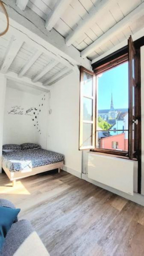 Appartement vue cathédrale